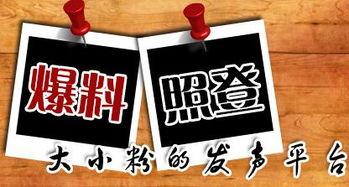 135新闻爆料,揭秘事件背后真相，引发社会关注！”